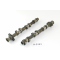 Triumph Sprint ST 1050 BJ 2005 - Camshafts A5161