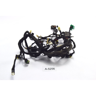 Ducati Monster 696 BJ 2008 - Arnés de cables Cable A5256