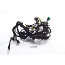 Ducati Monster 696 BJ 2008 - Wiring Harness Cable A5256