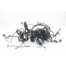 BMW F 700 GS E8GS BJ 2012 - wiring harness A275C