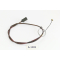 Malaguti Cavalcone C 80 RC 80 - Cable A1903