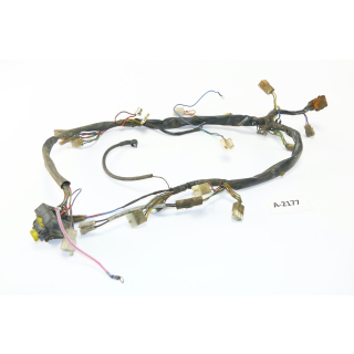 Aprilia Moto 6.5 MH00 BJ 1995 - mazo de cables A2177