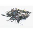 Ducati Monster S2R 1000 BJ 2006 - wiring harness A4189