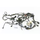 Kawasaki KLE 650 Versys LE650A BJ 2007 - wiring harness A4720