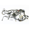 Kawasaki KLE 650 Versys LE650A BJ 2007 - wiring harness A4720