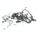 BMW R 1200 RT R12T Bj 2004 - mazo de cables A137C