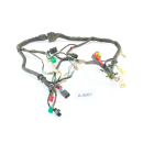 Kymco Quannon 125 Bj 2007 - wiring harness A5061