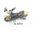 Aprilia Pegaso 650 ML year 97 to 00 - wiring harness indicator lights A2094