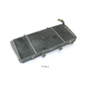 Triumph Sprint RS 955i T695 Bj 1998 - radiator water cooler A53E