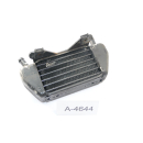 BMW R 850 R 259 Bj 1994 - oil cooler right A4644