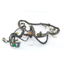 Hyosung GT 650 Comet Bj 2005 - wiring harness A5371