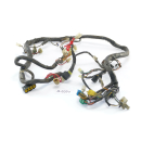 Hyosung GT 650 Comet Bj 2005 - wiring harness A5371