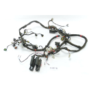 Aprilia RSV 1000 RR Tuono Bj 2006 - wiring harness cable cable assembly A287B