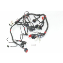 Aprilia SX 125 KX1 ABS Bj 2018 - wiring harness A1449