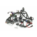 KTM RC 125 Bj 2014 - wiring harness A293C