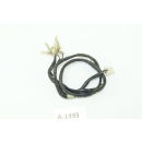 Hyosung GV 300 S Aquila Bj 2019 - rear light cable A1493