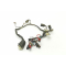 Kreidler Qingqi QM 125 GY - 2B Bj 2009 - wiring harness A1469