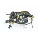 SWM SM 125 R Bj 2021 - main wiring harness cableage A5192