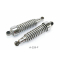 Kawasaki EL 250 B Eliminator Bj 1991 - shock absorber struts A228F