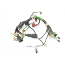 Kymco Zing 125 RF 25 BJ 1997 - faisceau de câbles faisceau de câbles principal A4813