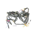 Aprilia RS 125 MP - mazo de cables A4804
