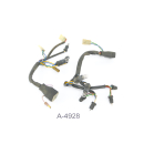 Aprilia RS 125 MP Bj 1999 - Kabel Kontrolleuchten Instrumente A4928