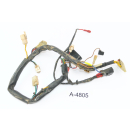 Husqvarna TE 450 Bj 2007 - wiring harness A4805
