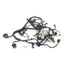 Ducati Monster 821 Stealth Bj 2019 - wiring harness A4829