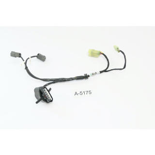 Ducati Monster 821 Stealth Bj 2019 - Cable inyectores 5101A082B A5175