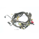 Honda CLR 125 W Cityfly JD18 Bj 1998 - wiring harness A4433