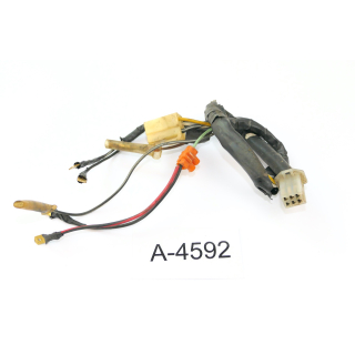 Suzuki RG 80 Gamma NC11A Bj 1995 - wiring harness 3662046A00 A4592