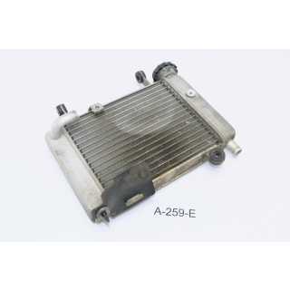 Honda CBR 125 R JC50 Bj 2010 - Radiator Water cooler A259E