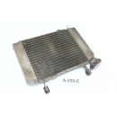 Honda CBR 125 R JC50 Bj 2010 - Radiator Water cooler A259E