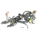 Honda CBR 125 R JC50 Bj 2010 - wiring harness A2382