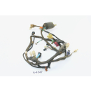 Honda CBR 125 R JC34 Bj 2004 - mazo de cables A4547