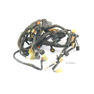 Suzuki DL 650 A V-strom Bj 2009 - mazo de cables A5467