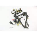 Honda XL 600 V Transalp PD06 - wiring harness A4944