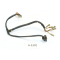 Benelli Tornado 650 S - Cable connector wiring harness A1370