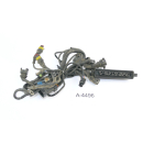Cagiva Gran Canyon 900 M3 1998 - Engine wiring harness A4496