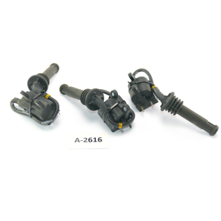 Triumph Thunderbird Sport 900 T309RT - ignition coils A2616