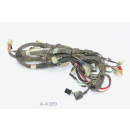 Kymco KXR 250 year 2002 - wiring harness A4389