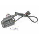 Husqvarna TE 410 570 - CDI ignition coil control unit A4060