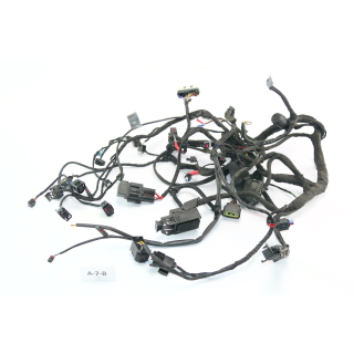 BMW R 1200 RT R12WT 2015 - Wiring harness A7B