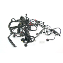 BMW R 1200 RT R12WT 2015 - Mazo de cables A7B