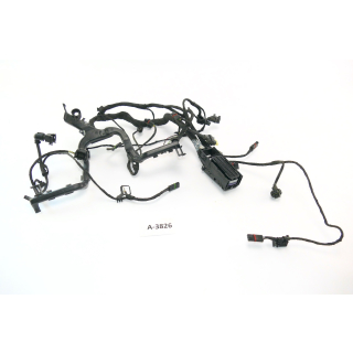 BMW R 1200 RT R12WT 2015 - Engine wiring harness A3826