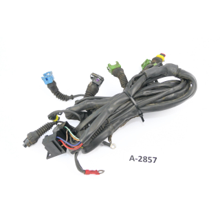 Moto Guzzi V11 Sport KS 2001 - mazo de cables sistema inyección A2857