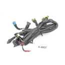 Moto Guzzi V11 Sport KS 2001 - wiring harness injection...