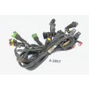 Moto Guzzi V11 Sport KS 2001 - mazo de cables sistema inyección A2857