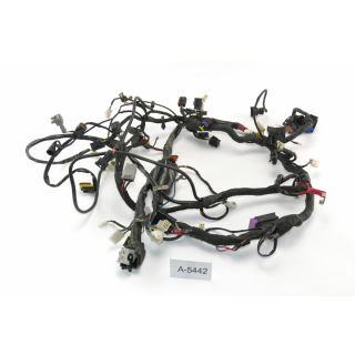 Aprilia Mana 850 2007 - Wiring harness A5442