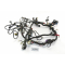 Aprilia Mana 850 2007 - Wiring harness A5442